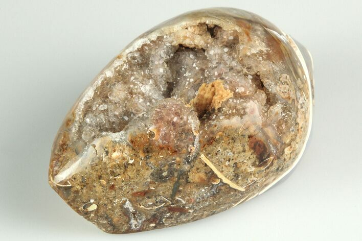 1.84" Chalcedony Replaced Gastropod With Sparkly Quartz - India